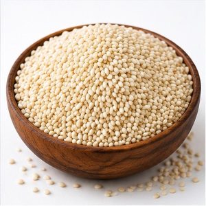 Sudanese Whitish Sesame Seeds – Gadaref Grade A