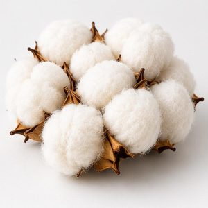 Sudanese Raw Cotton